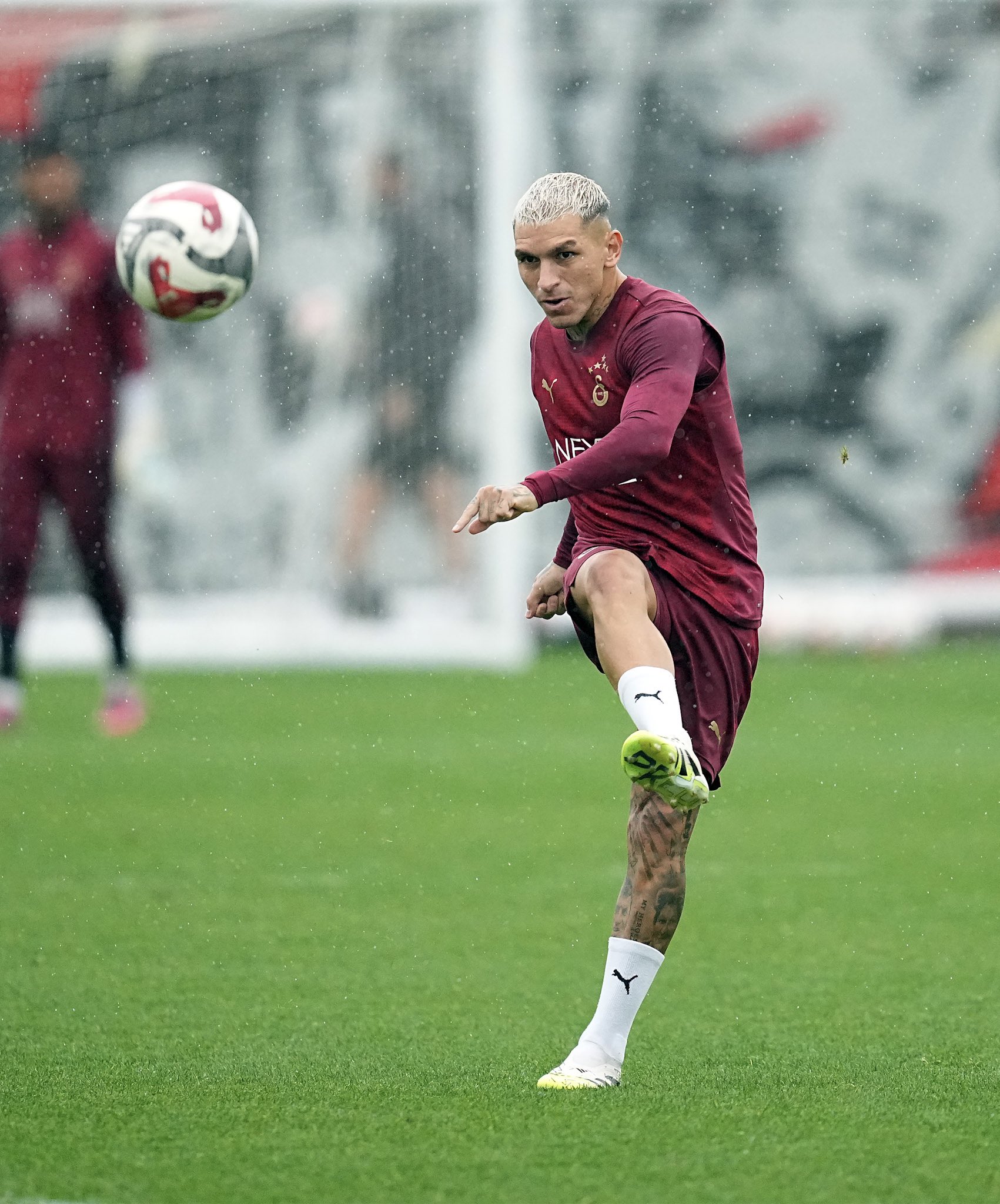 torreira